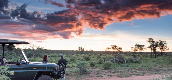 Experience exquisite African sunset painting sky in Limpopo Game Reserve.