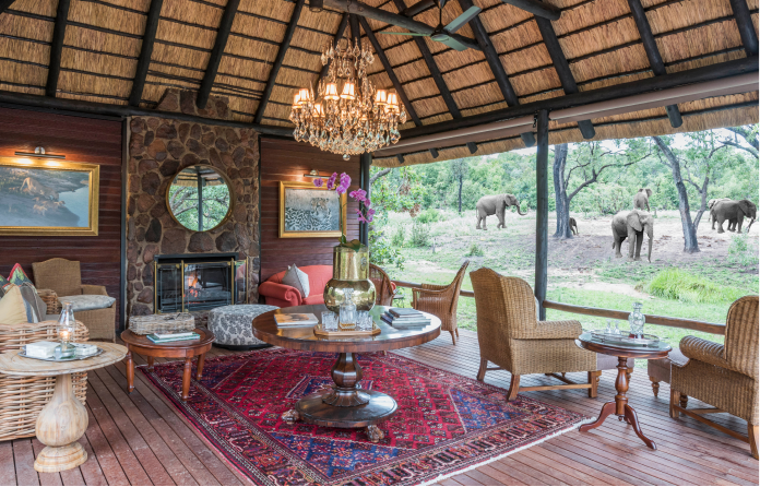 Elephants roaming freely, spectacular sight from lodge's outdoor sitting area.
